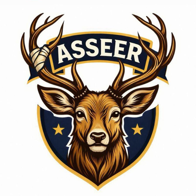 ASSEER logo