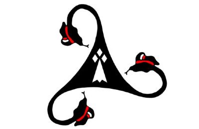 AAEMR logo