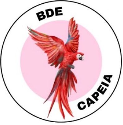 CAPEIA logo