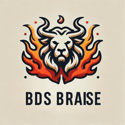 BDS BRAISE logo