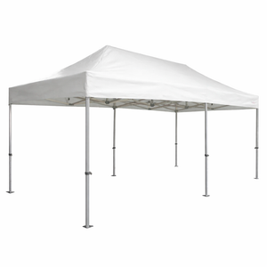 Barnum 3x6m sans murs - Blanc  picture